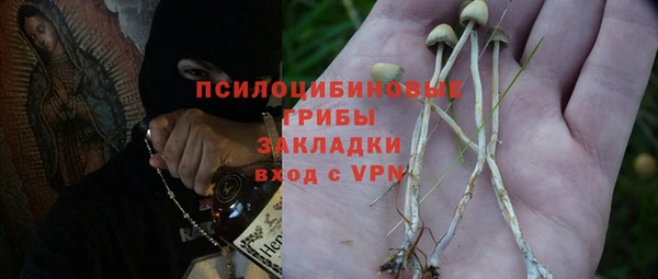 spice Белокуриха