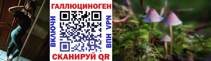 Купить где  Малоархангельск  Псилоцибиновые грибы Cubensis 